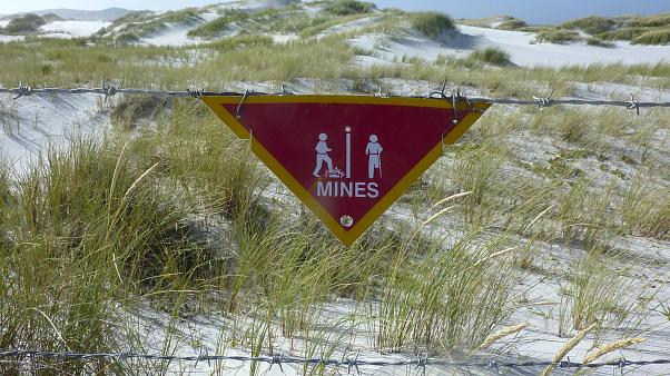 38 years after war, Falkland Islands cleared of mines; Islanders celebrate being ‘landmine free’