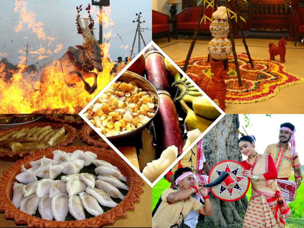 Festival of harvest being celebrated across India today Samvada World