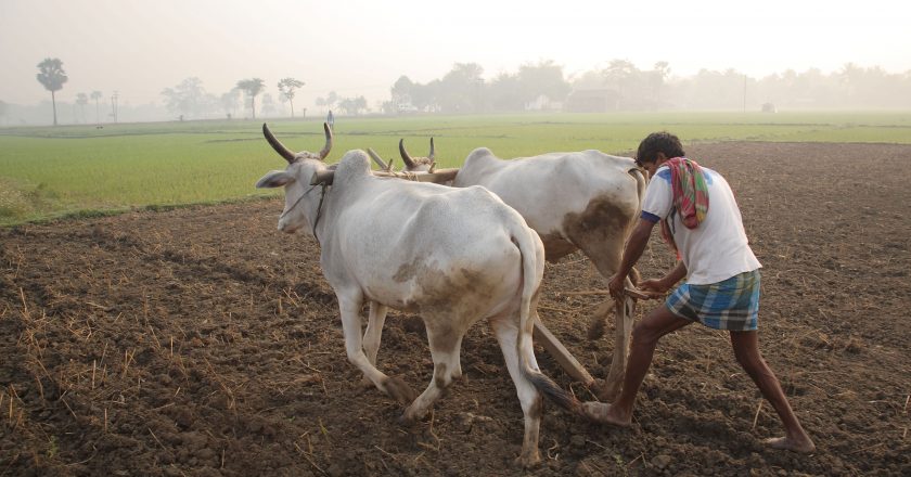 The need for agricultural reforms and farm laws in India