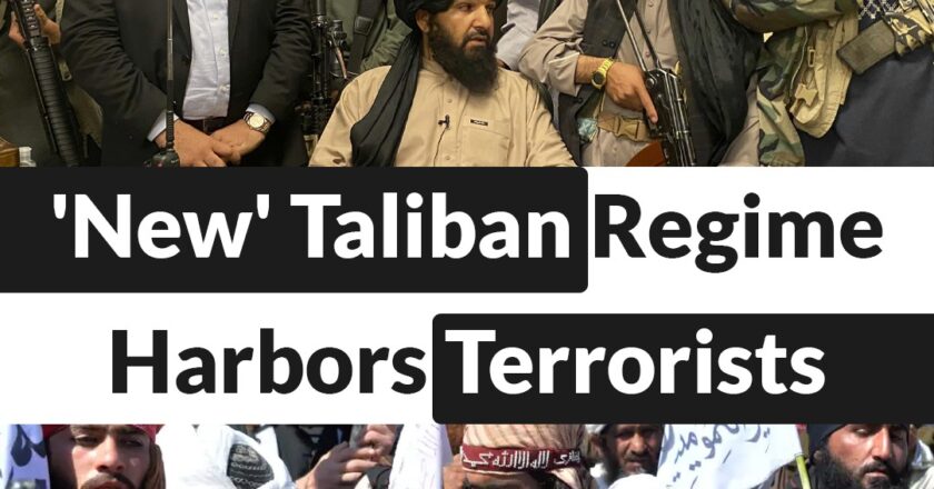 Terror Groups Continue to Thrive under Taliban in Afghanistan – UNSC Report