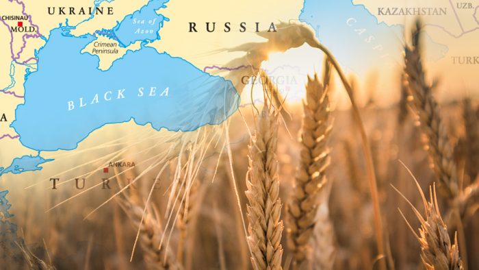 Russia’s Withdrawal from the Black Sea Grain Initiative: A Calculated Strategy with Global Consequences